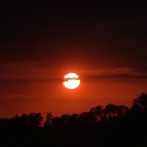 Meet your Posher, Candice